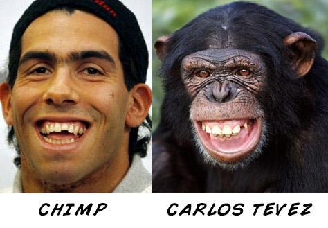 carlos tevez chimp